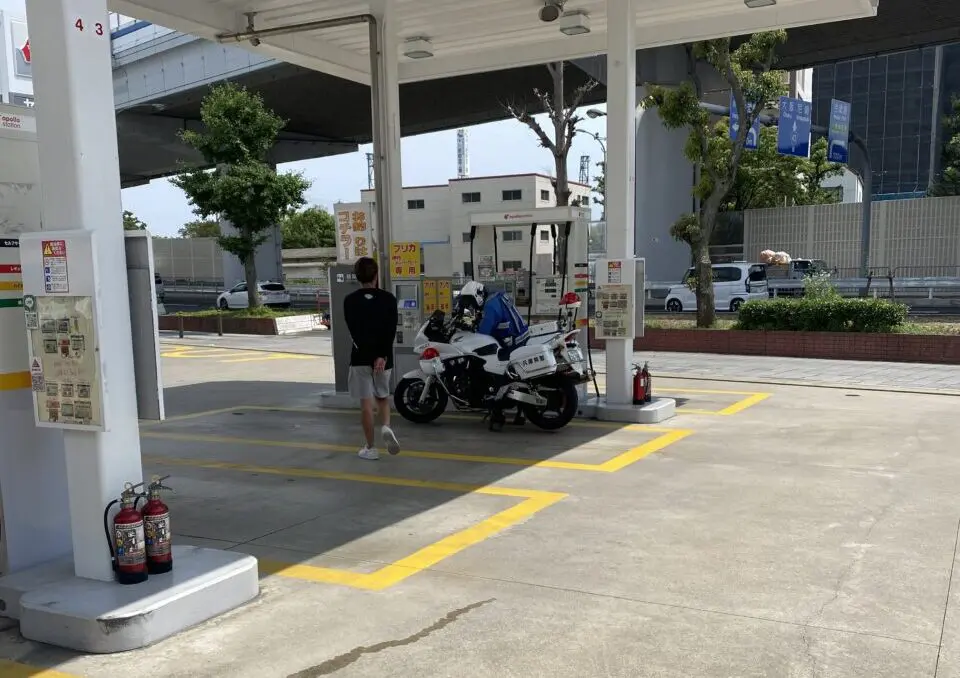 63インパラで皆仲良し！ | NEWING