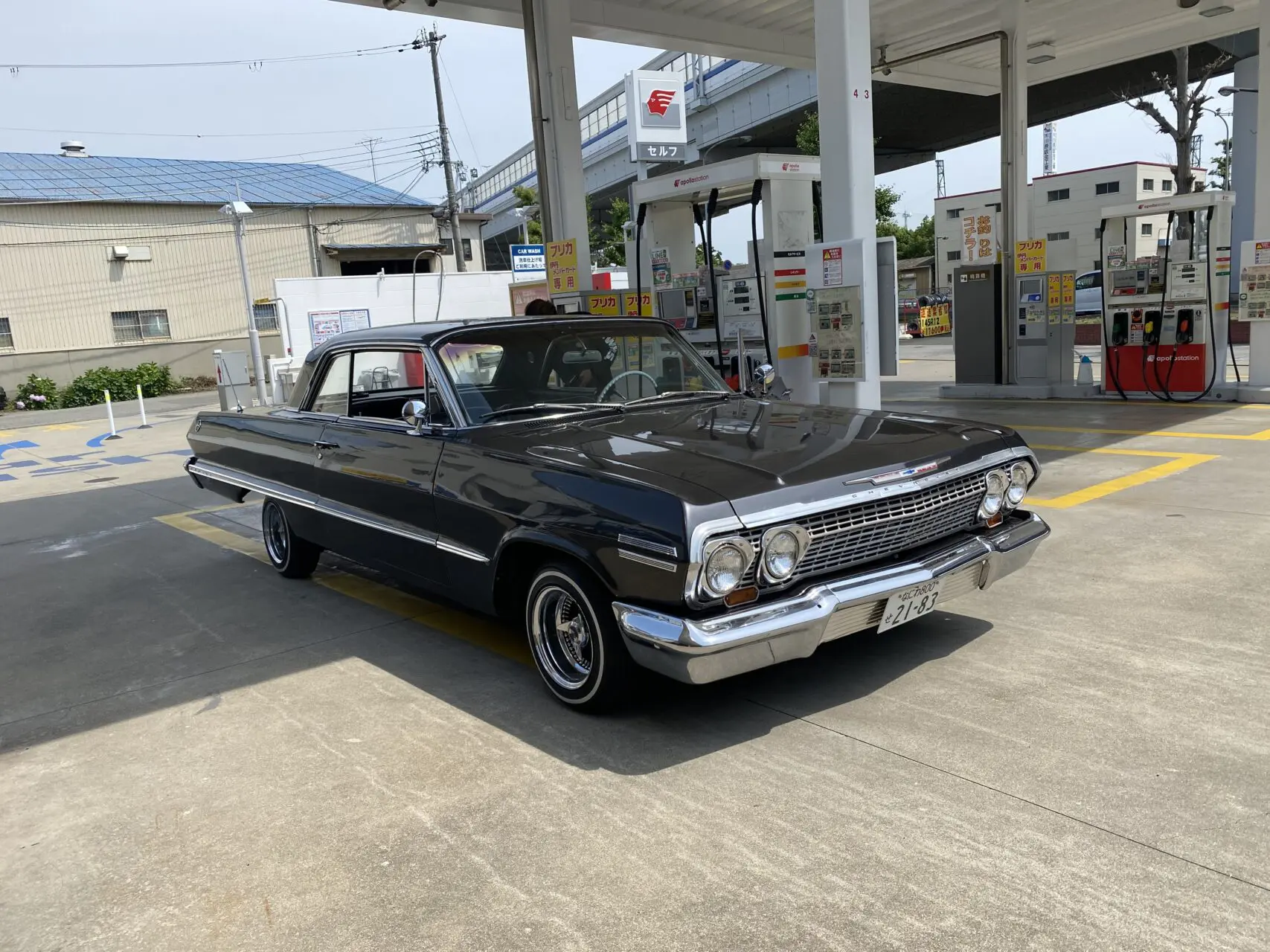 63インパラで皆仲良し！ | NEWING